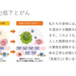 田上さんの「徹底的に調べ上げたガン治療について」